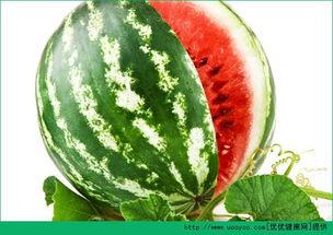 黑热点 国内吃瓜爆料黑料 小瓜陆的视频,黑热点下的吃瓜爆料与真实故事