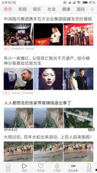 热门大瓜汇总 明星娱乐八卦头条,热门大瓜盘点，明星娱乐八卦头条速览