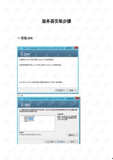 网红大瓜文件docx